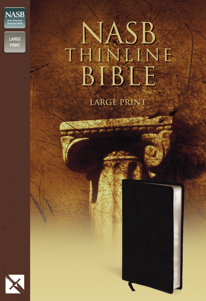 NASB Thinline Bible, Large Print Zondervan